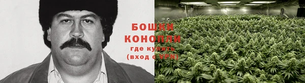 стафф Балахна