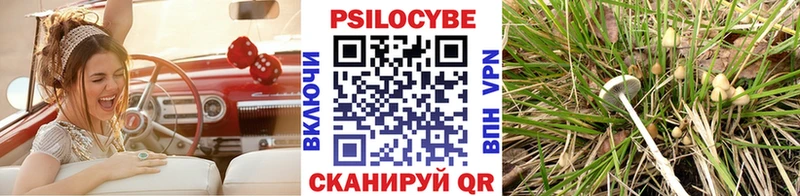 Псилоцибиновые грибы MAGIC MUSHROOMS  Новотитаровская 